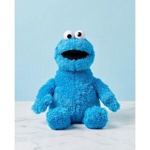 Sesame Place 10" Cookie Monster Plush Blue Shaggy Stuffed Animal‎ Sesame Street
